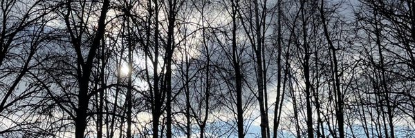 offwhite_sqiinx Profile Banner