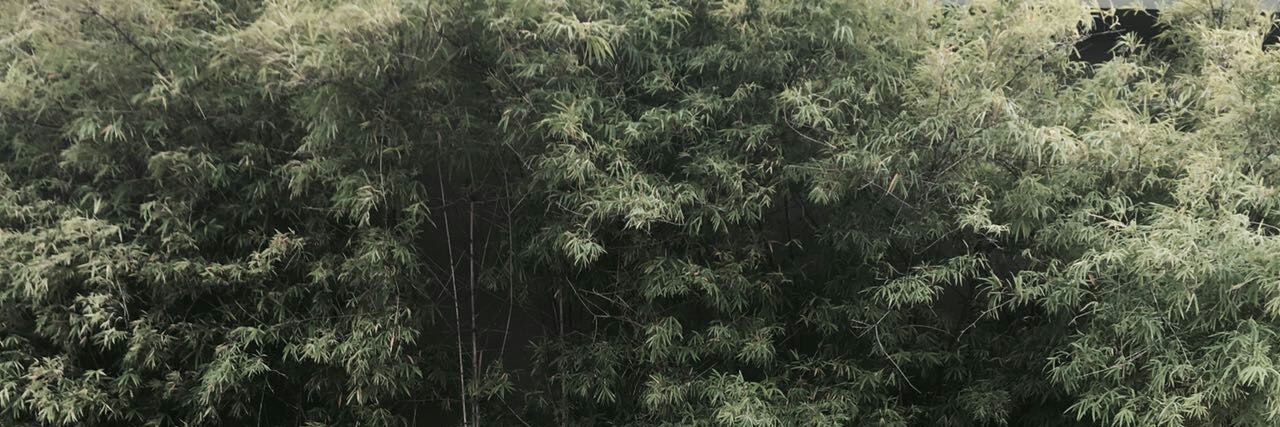 MnHajami's profile banner image