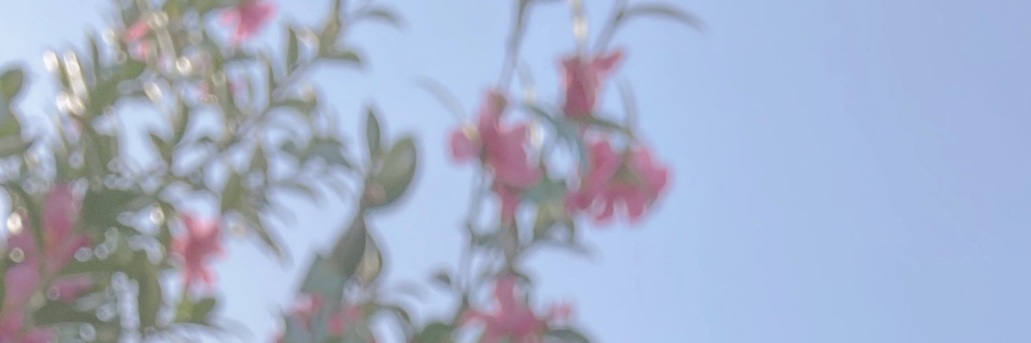 tn_____r's profile banner image
