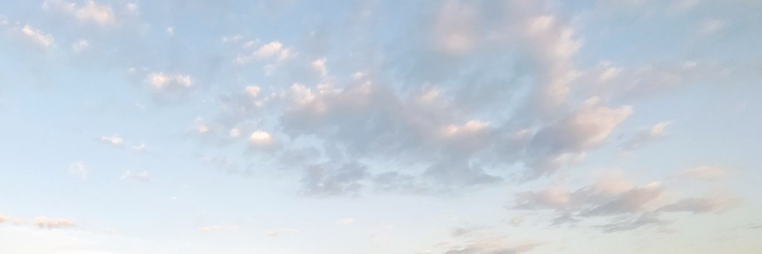 nellifranci's profile banner image