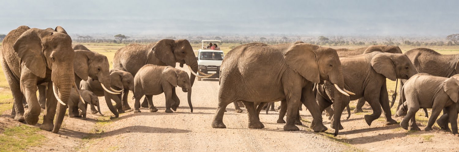Boundless Southern Africa banner