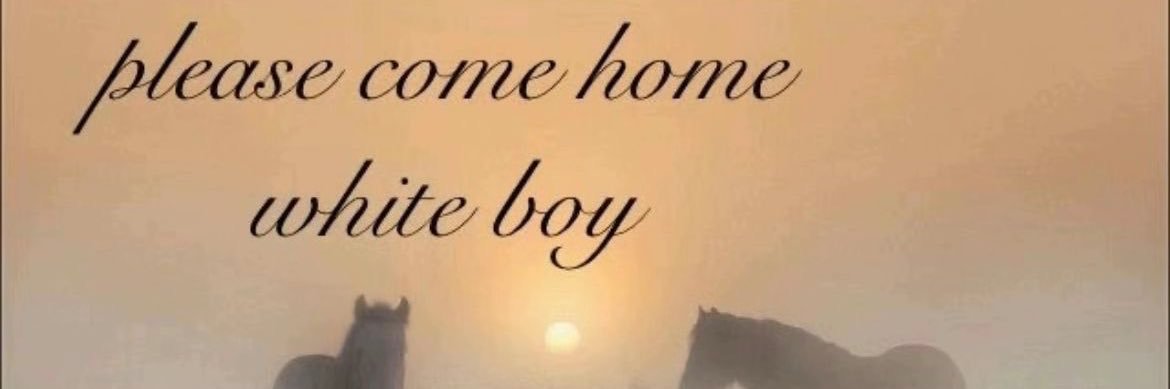 Taylør banner