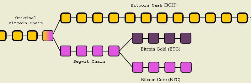 Baron von Bitcoin banner
