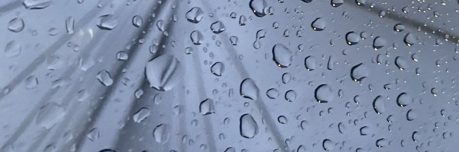 fiochin's profile banner image