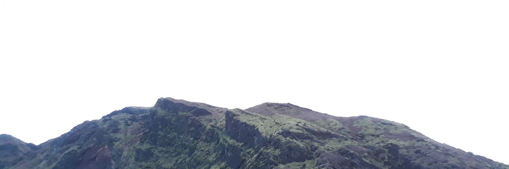 rickipraja's profile banner image