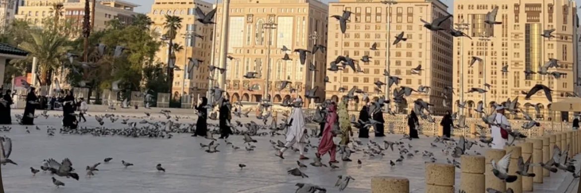 تخص المُلهمين🇸🇦 banner