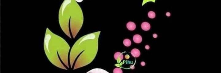 frezybabys's profile banner image