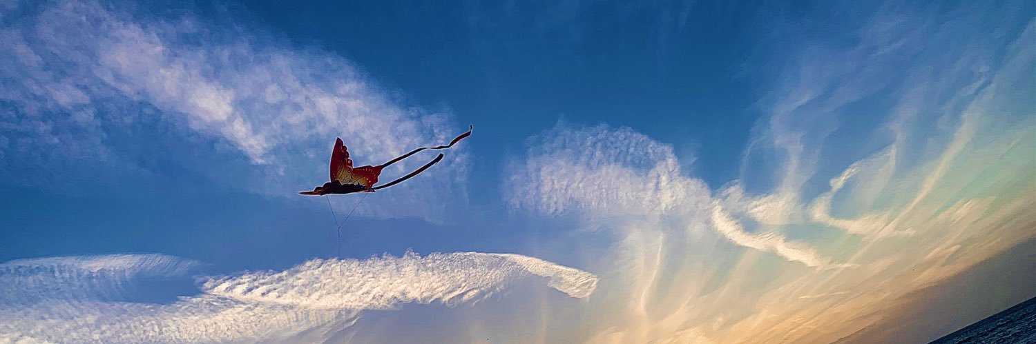 TabyAndreski's profile banner image