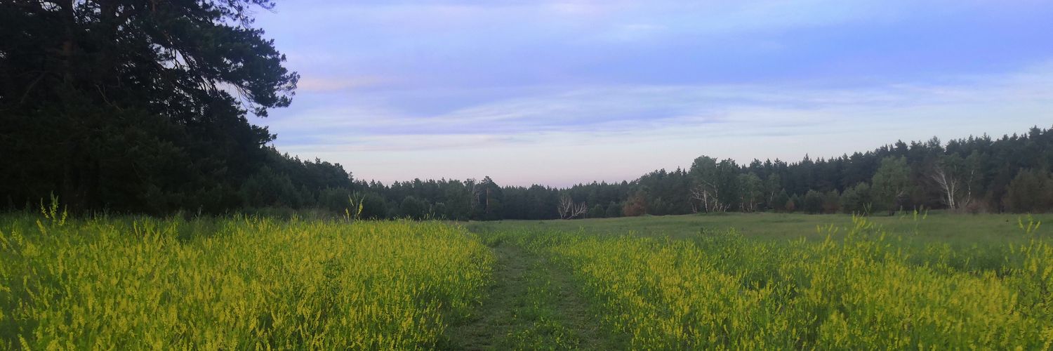 Саламандра banner