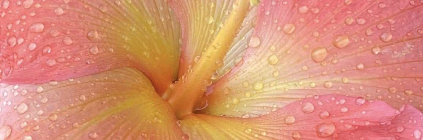 2002jem's profile banner image