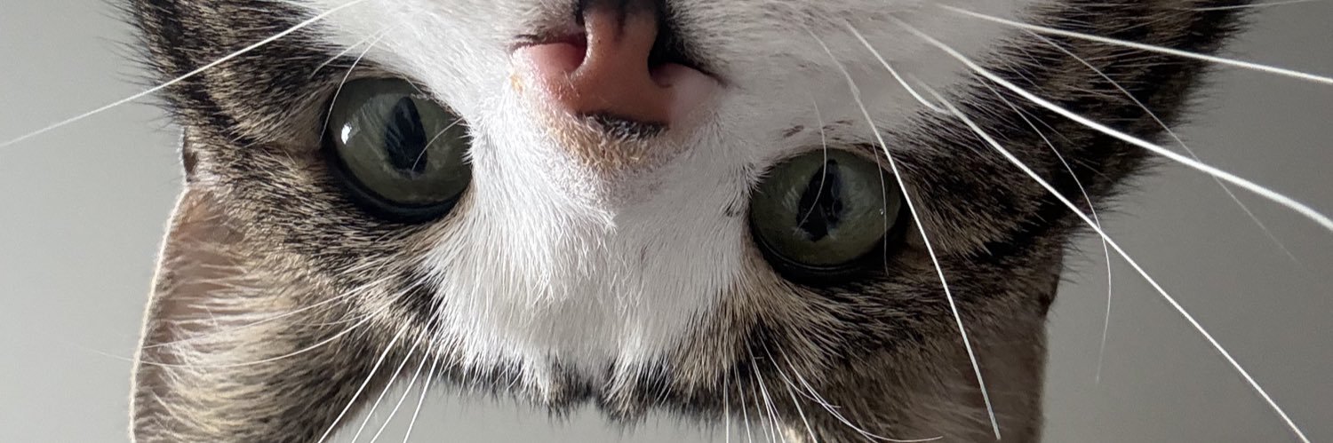 quietlychlo's profile banner image