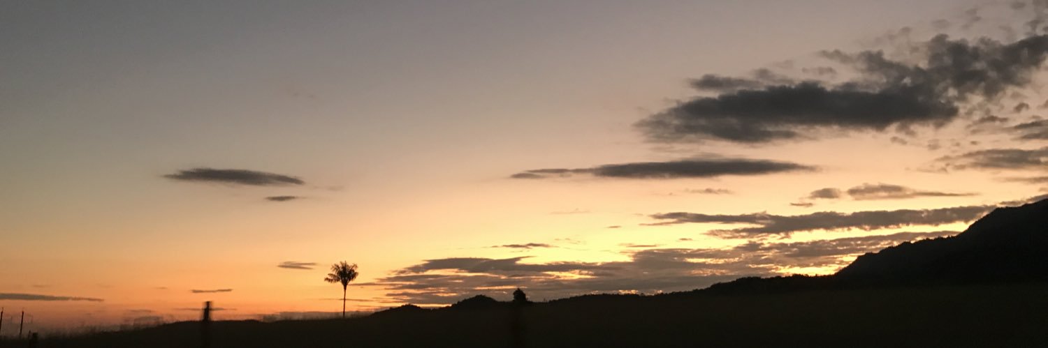 D5123o's profile banner image