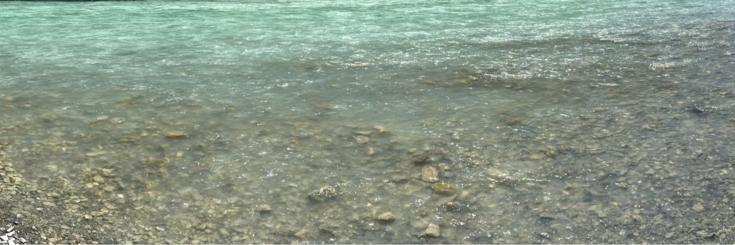 stanInSpore's profile banner image