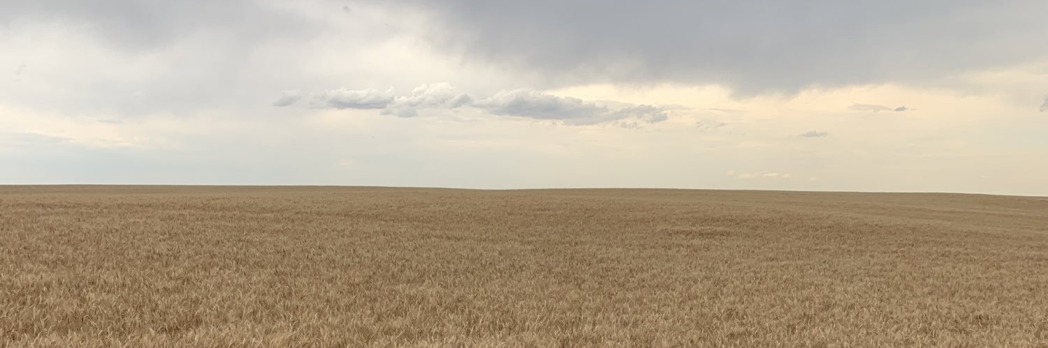 casey_mack's profile banner image
