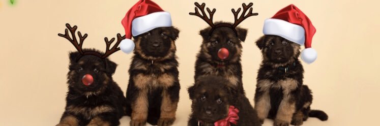 FurboxUK's profile banner image
