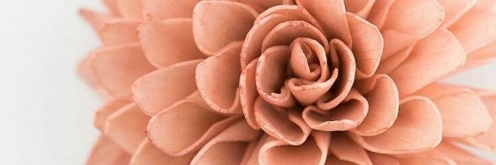 nomfundo_h's profile banner image