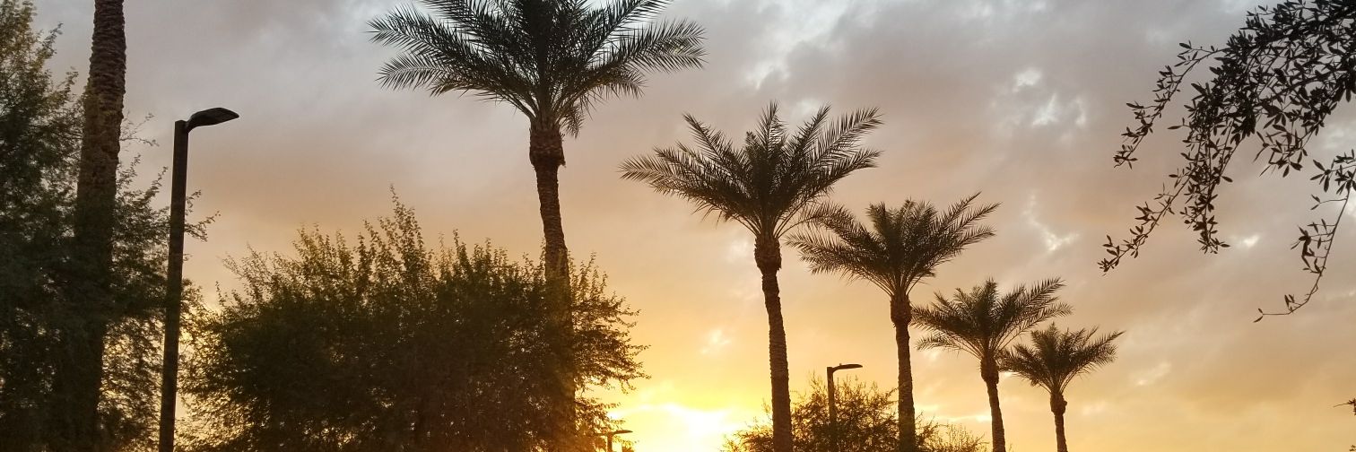 austinizdope's profile banner image