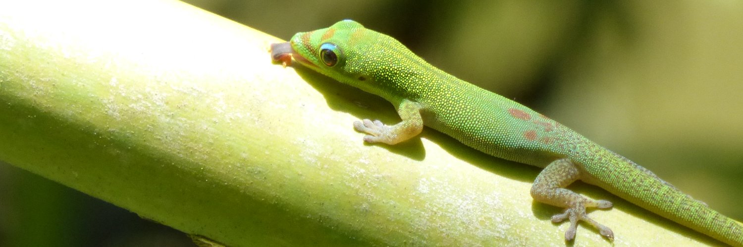 Catherine M. Walton banner