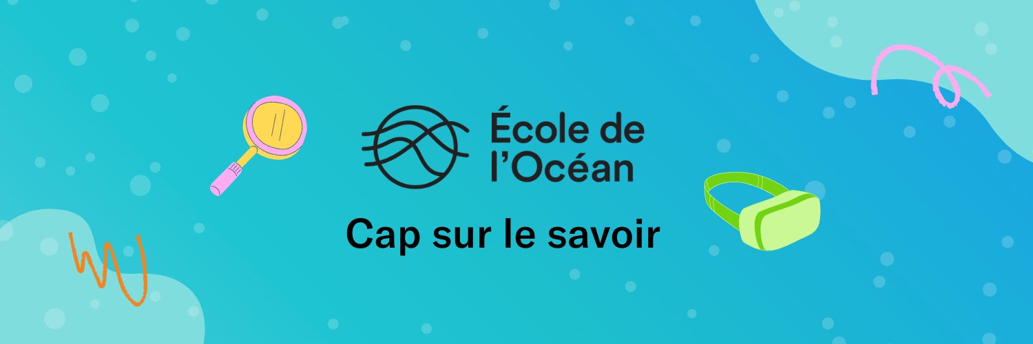 École de l’Océan 🐋 banner