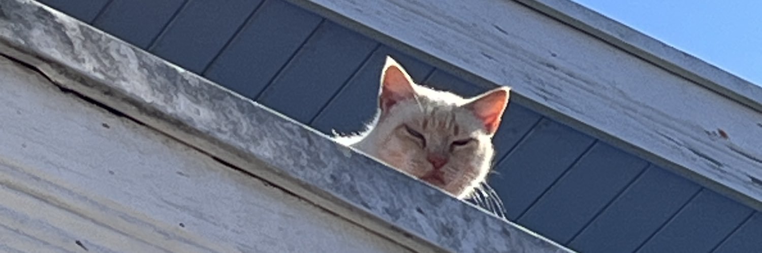 Gaby vai ver o BTS banner