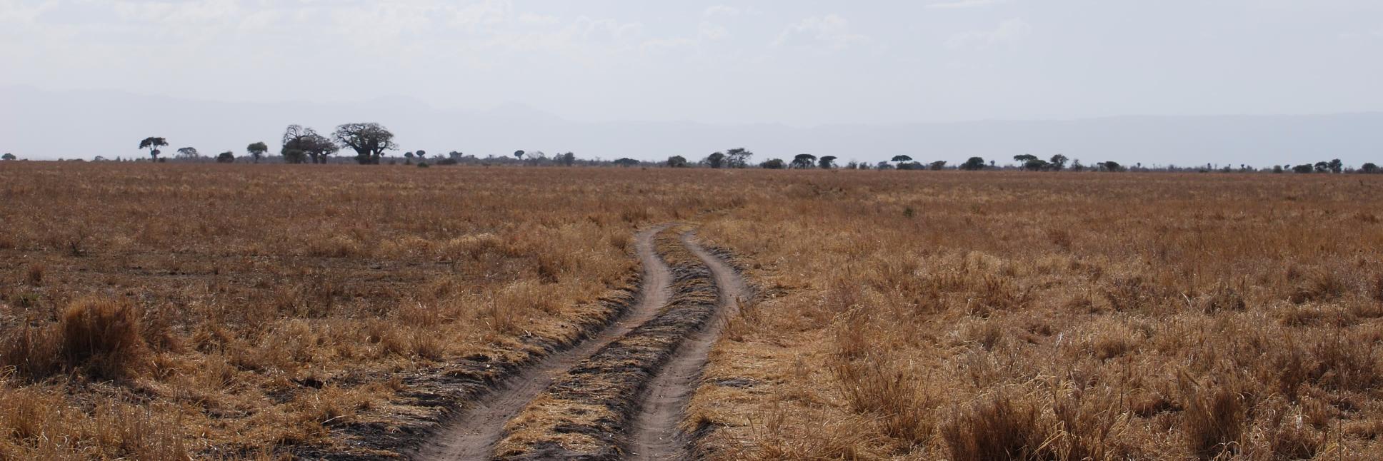 Sustainable Food Lab banner