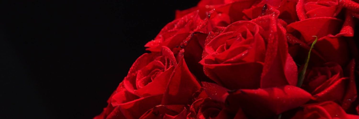 CynthiaAngeline's profile banner image
