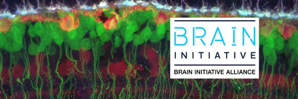 USBrainAlliance Profile Banner