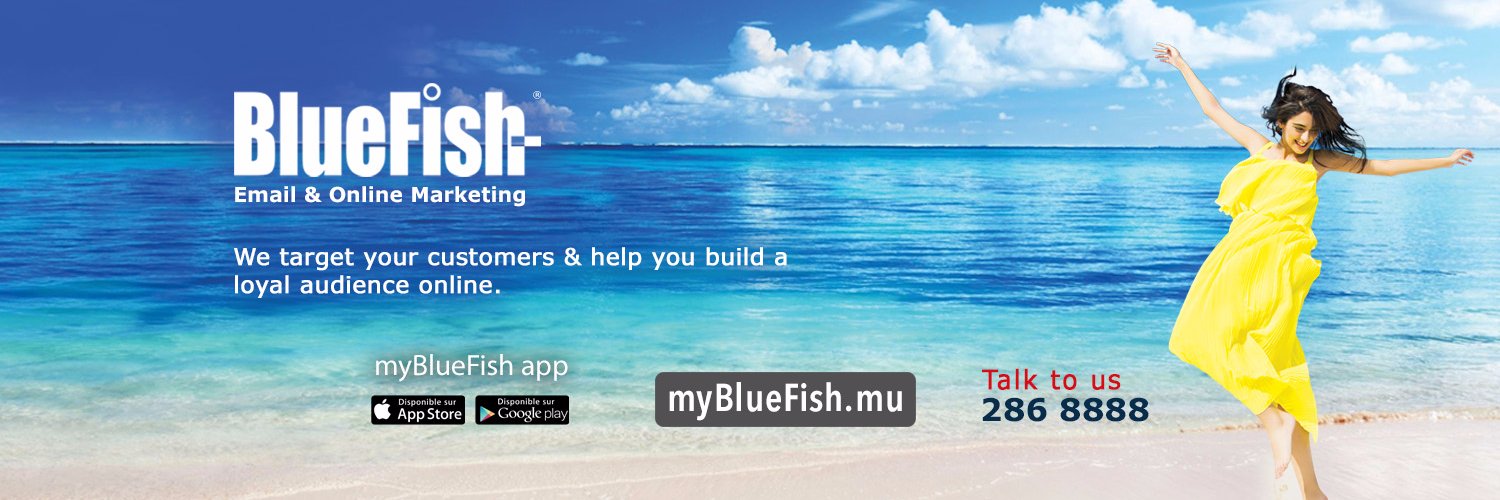 BlueFish eMarketing banner