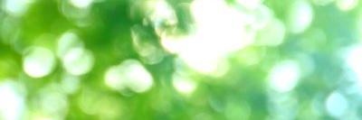 IanConnell271's profile banner image