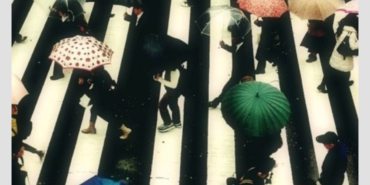 Michelle Hanley banner