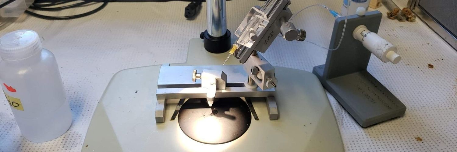 Connor A. Auth banner