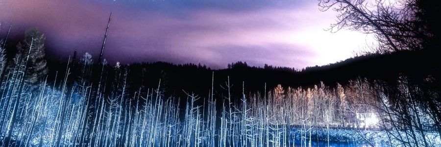 タムタム@大阪 banner