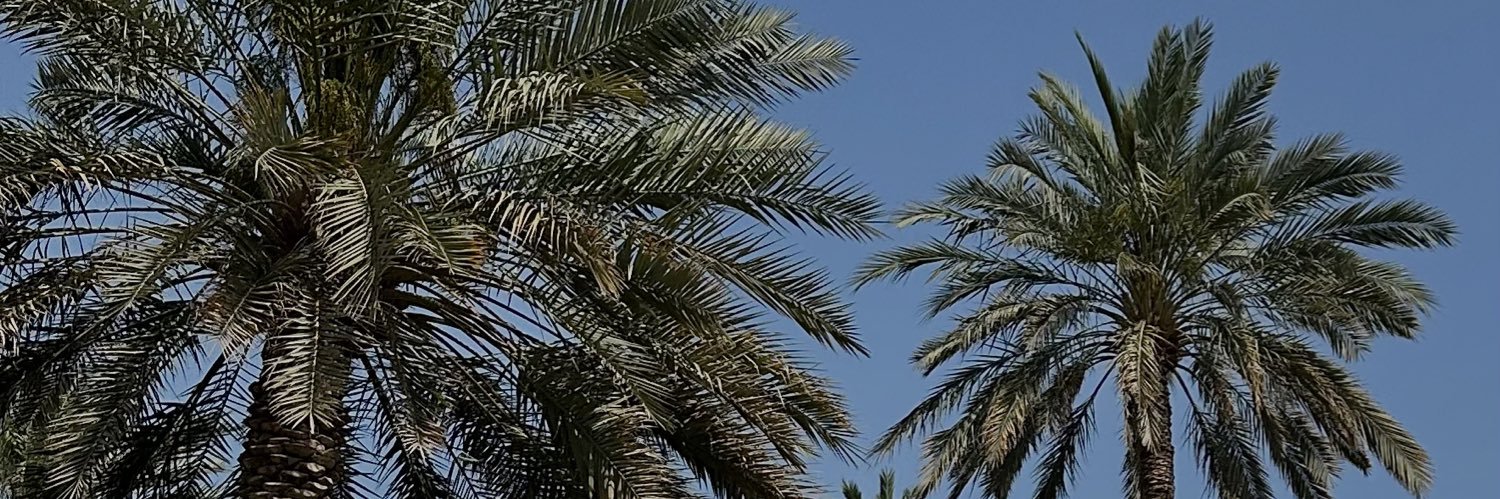 NOURA 🤍 banner