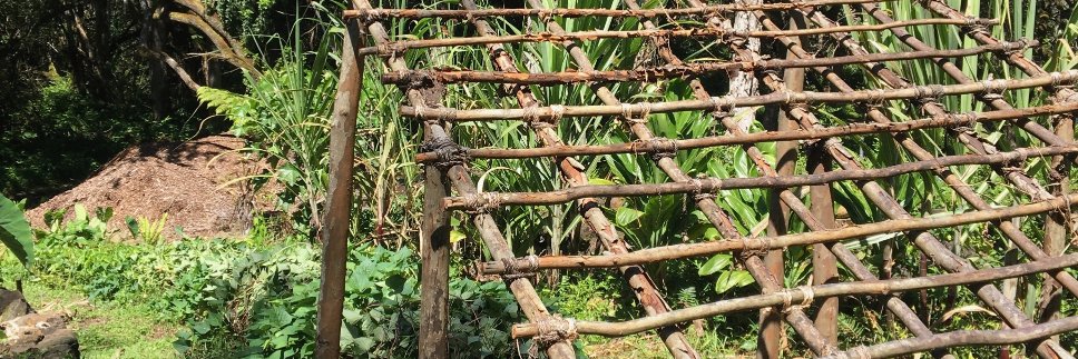 Leke Hutchins banner