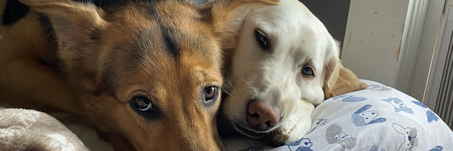 hollydigess's profile banner image