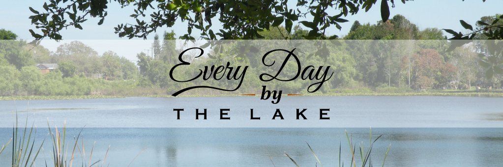 Laura Gariepy, MBA banner