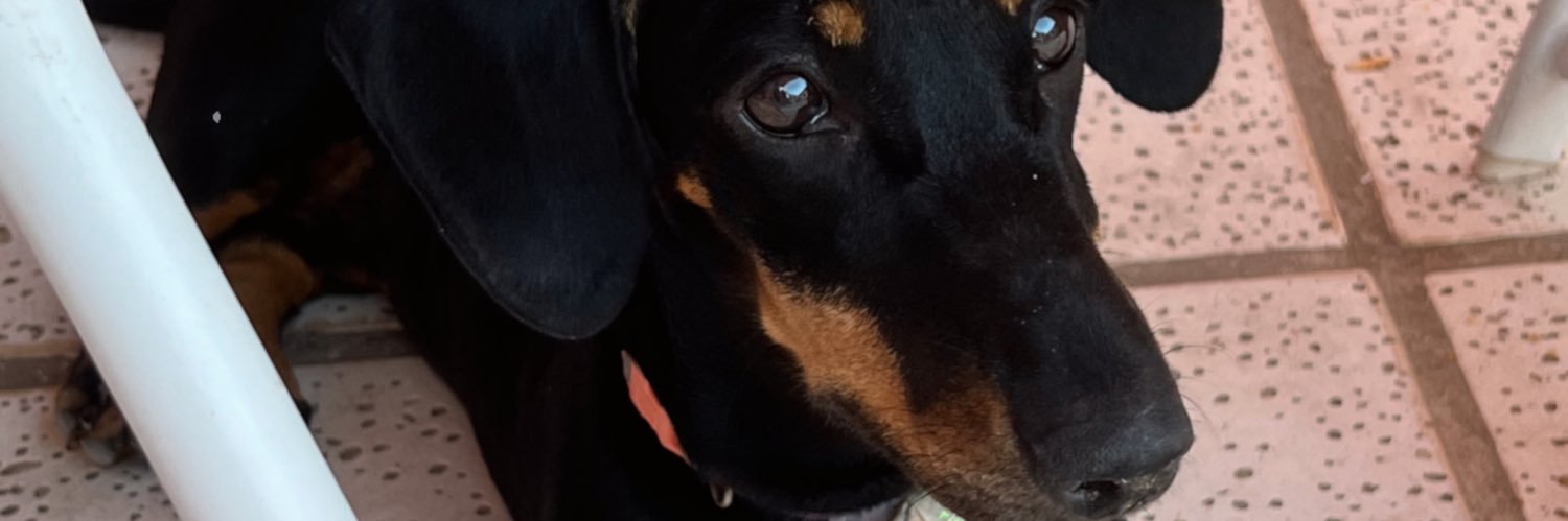 guadapoeta's profile banner image