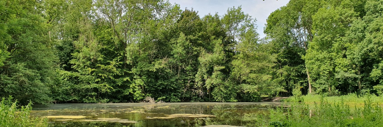 Victor L. Dolman banner