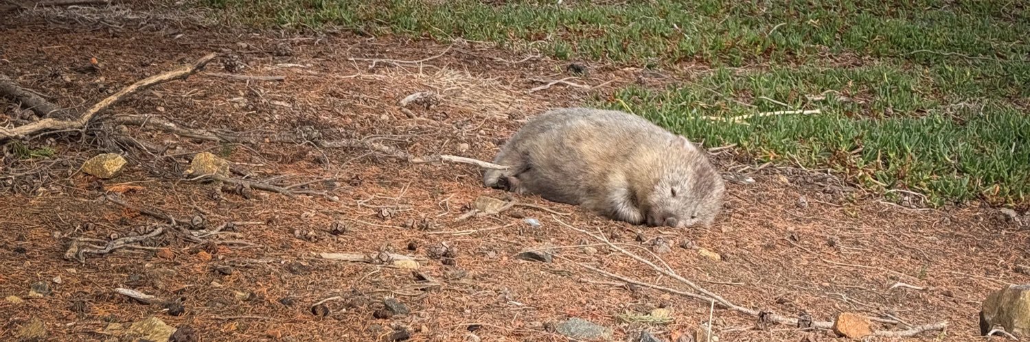 MettyRockerverb banner