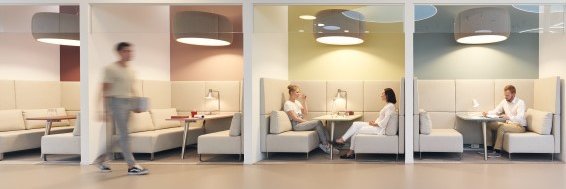 Workplace Insight banner