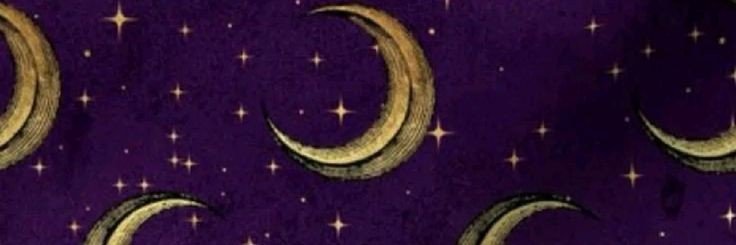 caillevch's profile banner image