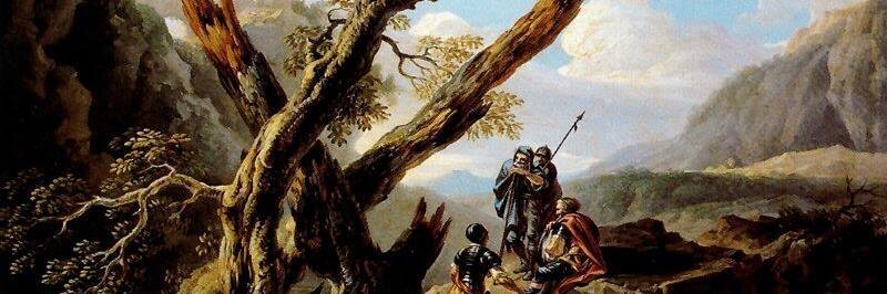 danamerigo's profile banner image