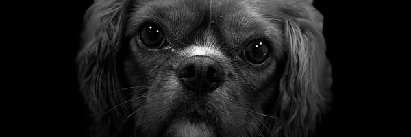 gmartaras Profile Banner