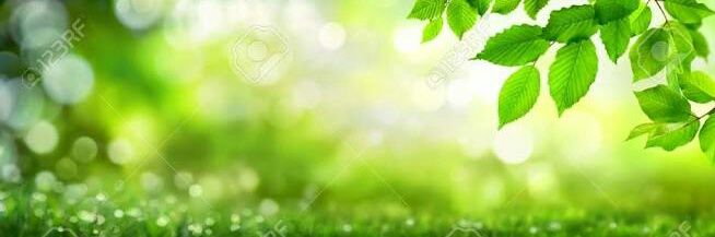 scenicviews2's profile banner image