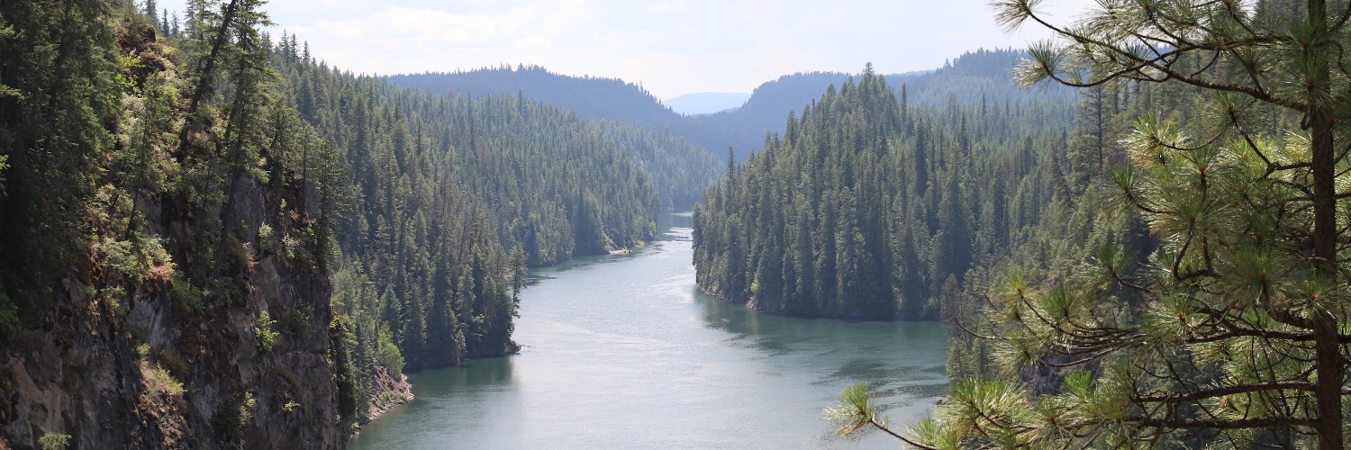 Colville N.F. banner