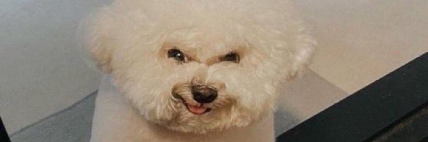 YMay98's profile banner image