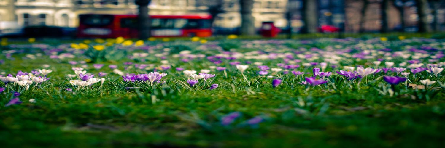 Макс Чумаков banner