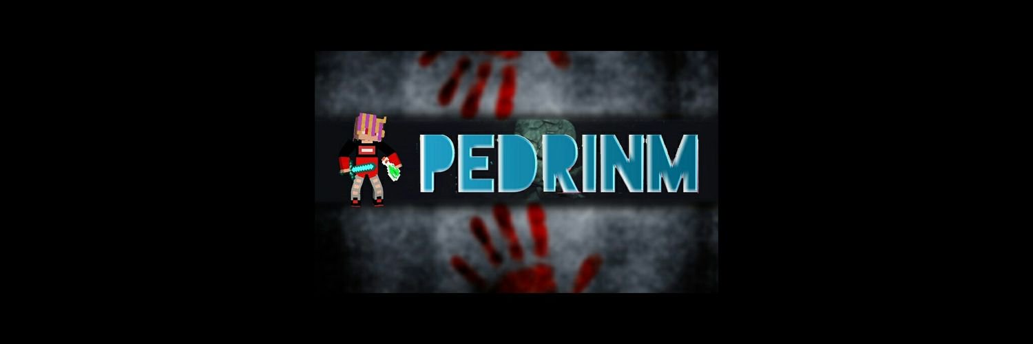 PedrinnhowL's profile banner image