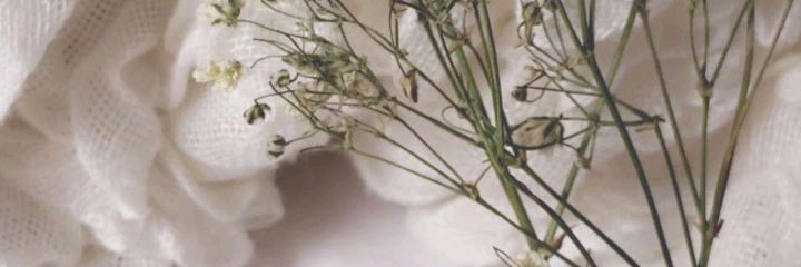shoshyps's profile banner image