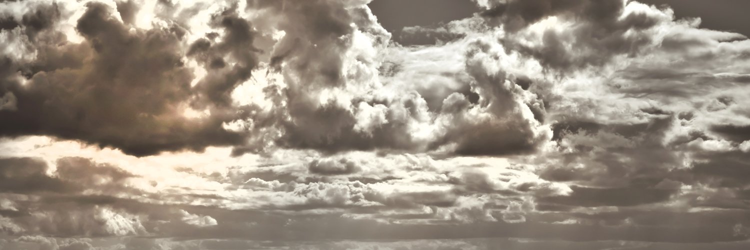 Sam suttie banner